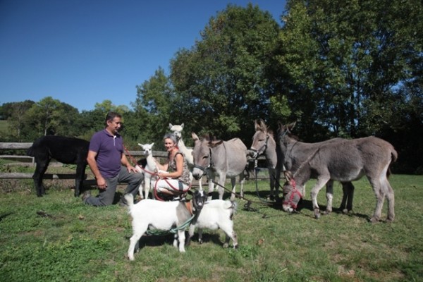 Le temps d'un week-end au puy du fou profitez des animaux des gites